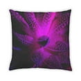 thumbnail image 2 of Ahgly Company Color Focus Purple Indoor Throw Pillow, 18 inch by 18 inch, 2 of 6