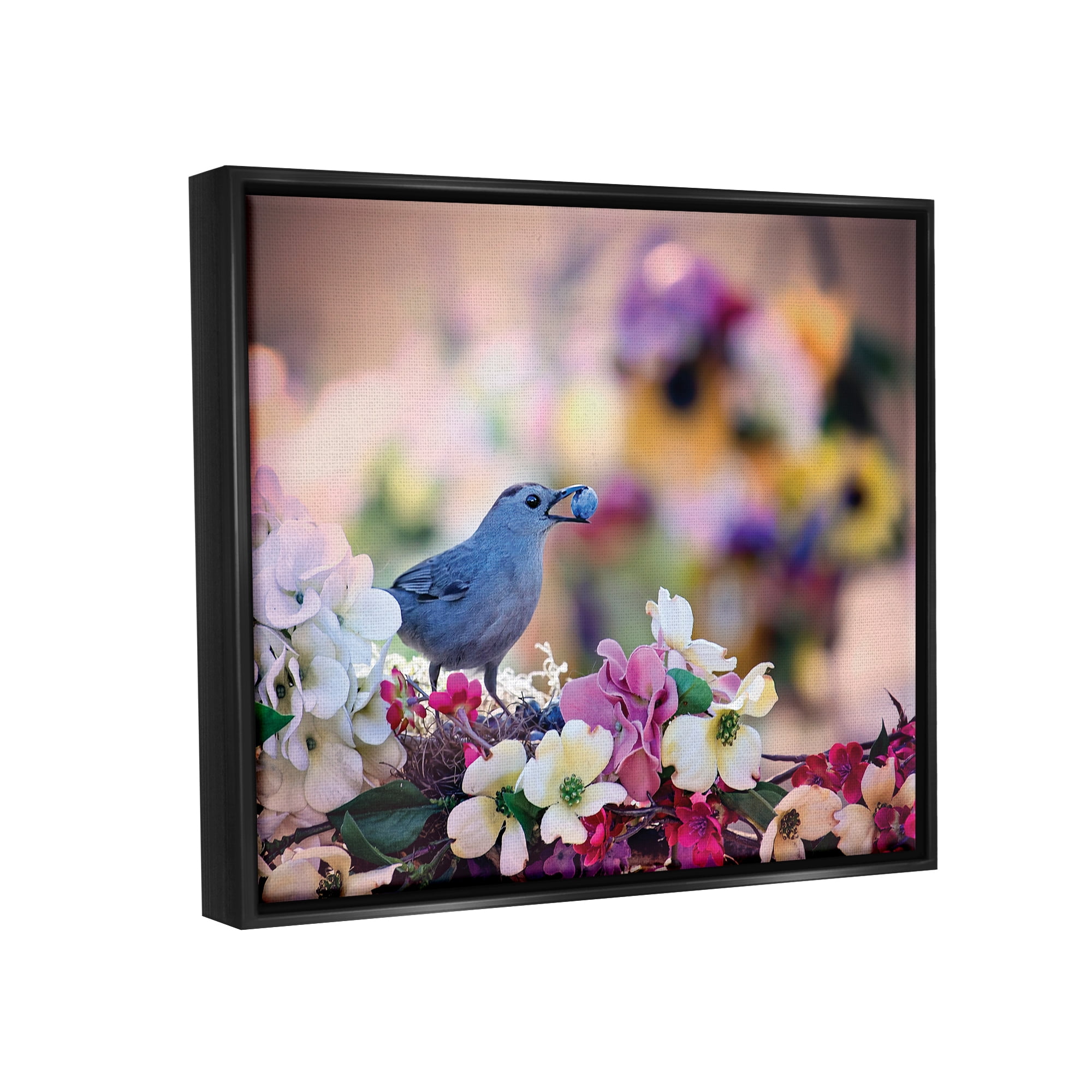 Stupell Industries Bird with Spring Flowers Animals & Insects Photography Black Floater Framed Art Print Wall Art, 21 x 17