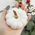 thumbnail image 5 of TETOU 6pcs Mini Pumpkins Artificial White Foam Pumpkins for Halloween Home Fall Thanksgiving Harvest Centerpiece Decoration, 5 of 10