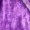 Purple, variant on Women's Winter Coats Velour Hooded Zip Up Jacket with Drawstring and Pockets Long Sleeve Casual Solid Color