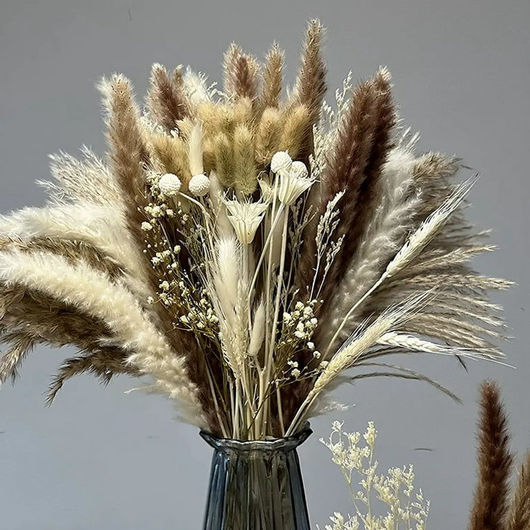 104pcs Pampas Dried Flower Natural Small Reed Bunny Tails Grass Bouquet  Valentine's Day Wedding Birthday Gift Home Office Vase Arrangement Flower