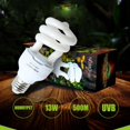 thumbnail image 3 of Heat Emitter Ultraviolet Light Bulb E27 5.0 10.0 UVB 13W Pet Reptile Light Glow Lamp Daylight Bulb Tortoise Fish Amphibians, 3 of 6