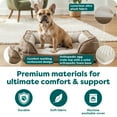 thumbnail image 5 of Furhaven Pet Products Medium Nest-Top Perfect Comfort Sofa Orthopedic Ped Bed, 30"x20", Green, 5 of 8