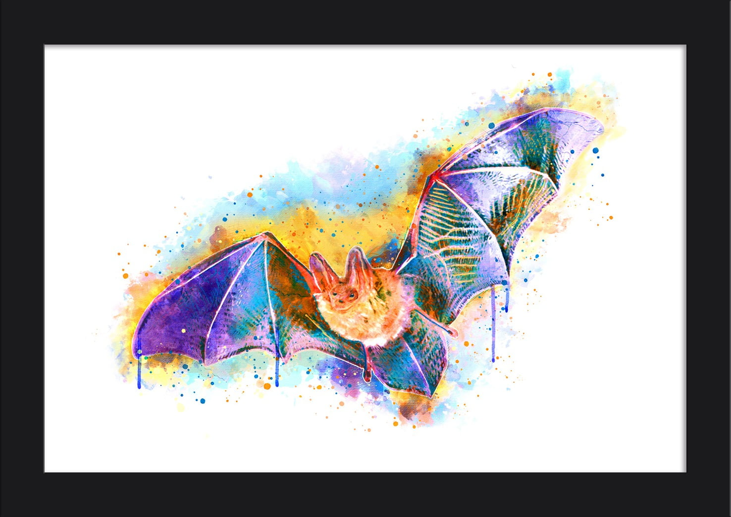 Bats and Black Cats III Giclee Stretched Canvas Artwork 16 x 20 Global Gallery Anne Tavoletti