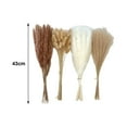 thumbnail image 4 of AMLESO Bulrush Reed Grass Boho Decor Rustic Dried Plant for Party Wedding Farmhouse, 4 of 7