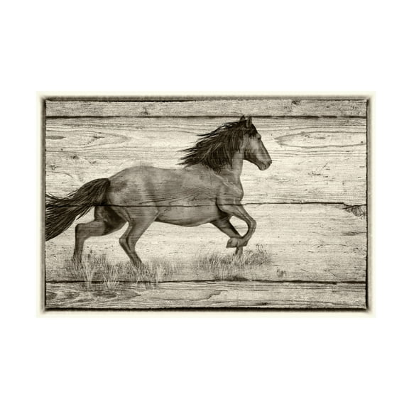 Canvas Wall Art - Gordon Semmens 'Woodgrain Antiques 1' Wall Art for Living Room, Bedroom, or Office Décor by Trademark Fine Art - 19 x 12 Inches