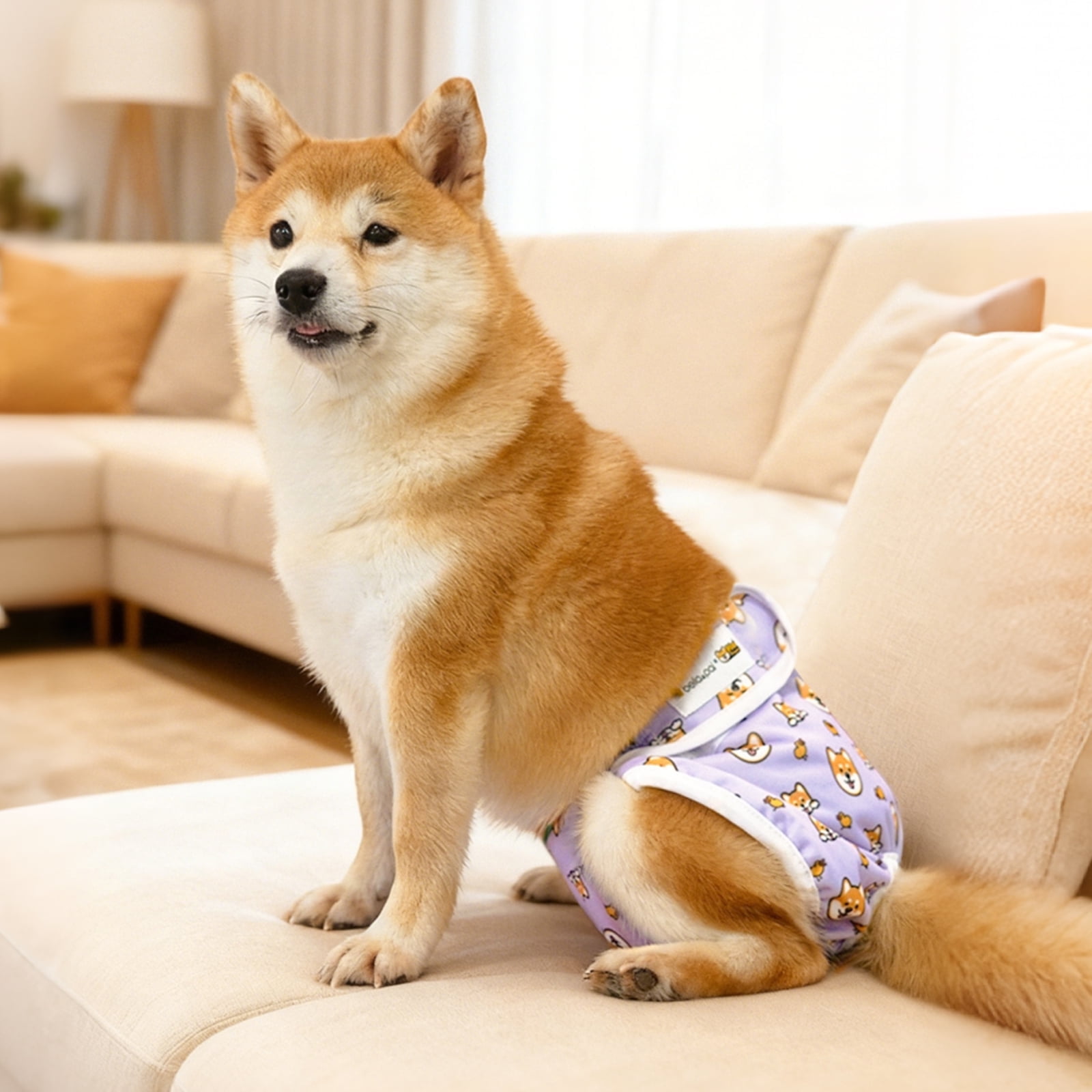 Bella & Pal × PJai & Friends Female Dog Diapers, 3-Pack, Highly Absorbent Washable Diapers for Small Dogs, Leak-Proof Puppy Diapers, M