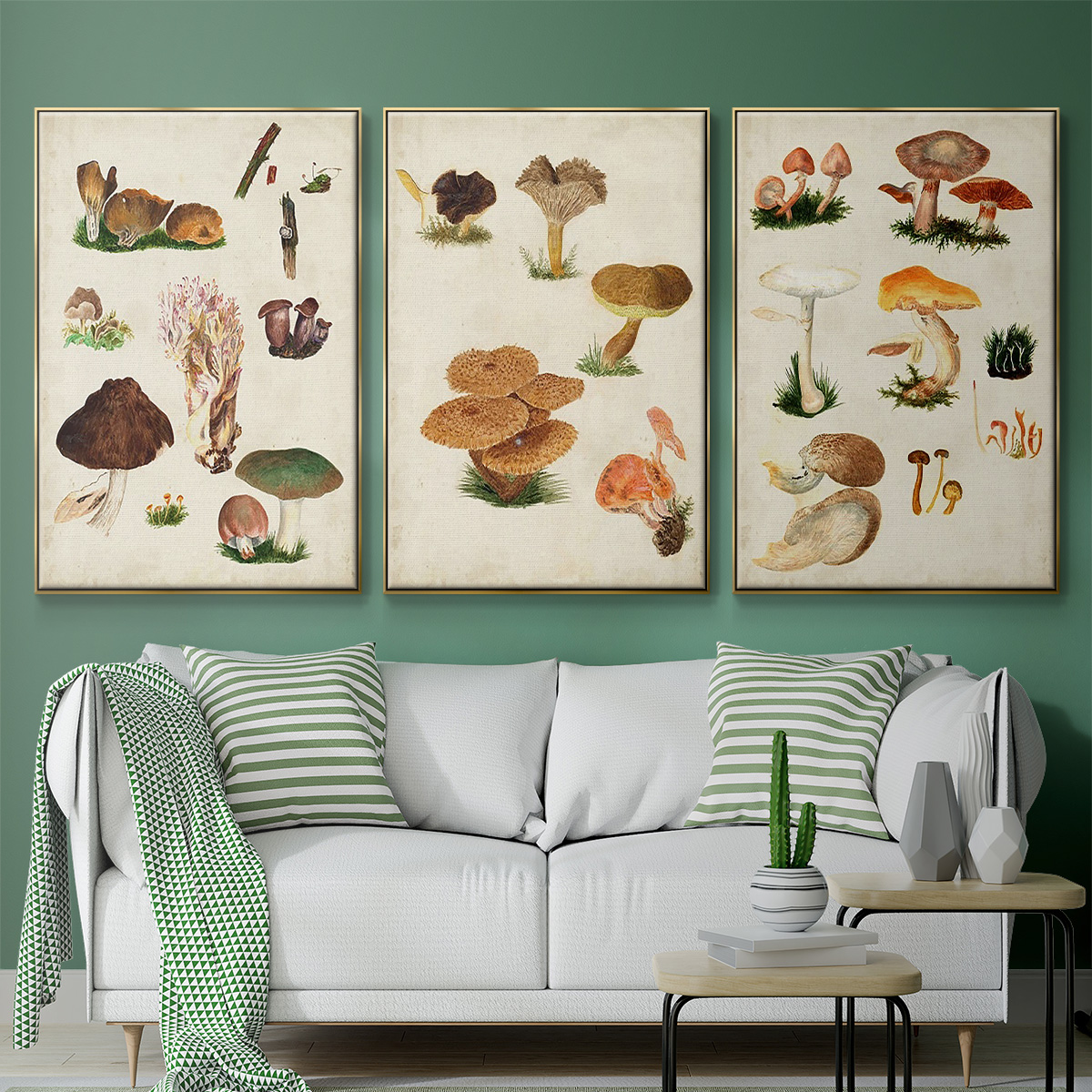 Mushroom Species IV - Framed Premium Gallery Wrapped Canvas L Frame 3 Piece Set - Ready to Hang