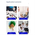 thumbnail image 2 of Modelo de Anatomía de la Articulación de la Rodilla A Tamaño Real 1:1 Recursos de Enseñanza de Ciencias Médicas Anatomia Cassroom Supplies, 2 of 5