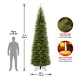 thumbnail image 4 of National Tree Company Artificial Slim Christmas Tree, Green, Kingswood Fir, Includes Stand, 12 Feet, 4 of 4