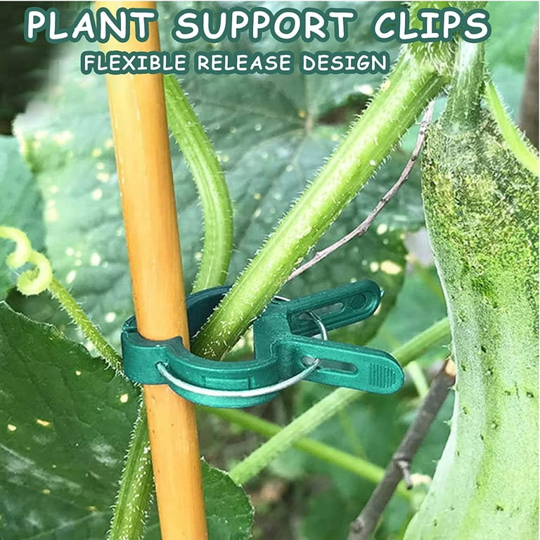 Des supports pour plantes grimpantes