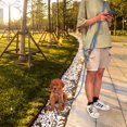 thumbnail image 1 of Dog Leash Harnesses Leads,Dog Leash Harnesses Leads Dog Reflective Rope Leash Pet Supplies Ultimate Reliability, 1 of 5