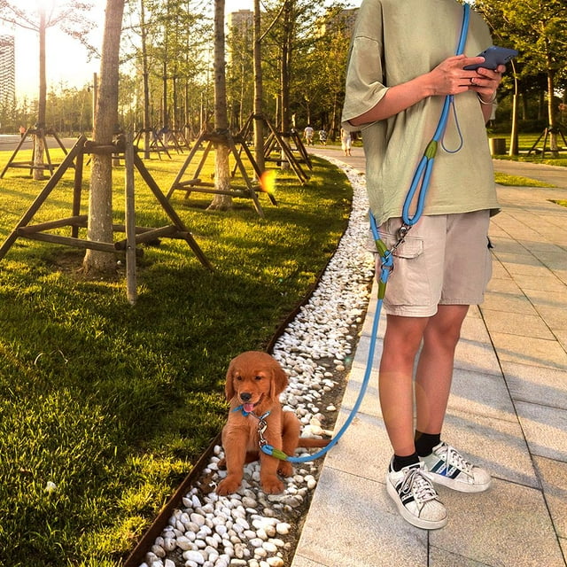 Dog Leash Harnesses Leads,Dog Leash Harnesses Leads Dog Reflective Rope Leash Pet Supplies Ultimate Reliability