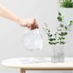 thumbnail image 3 of 100Pcs Reusable Food Keep Storage Covers Elastic Clear Bowl Covers Dish Plastic Covers for Family O, 3 of 5