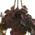 thumbnail image 2 of Nearly Natural 34" Peperomia Real Touch Artificial Plant in Hanging Basket, Red, 2 of 4