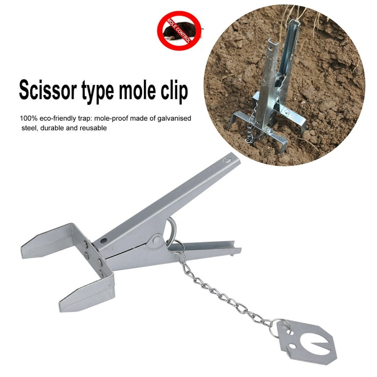 Mole Traps galvanized Steel Mole Scissor Trap reusable - Temu Australia