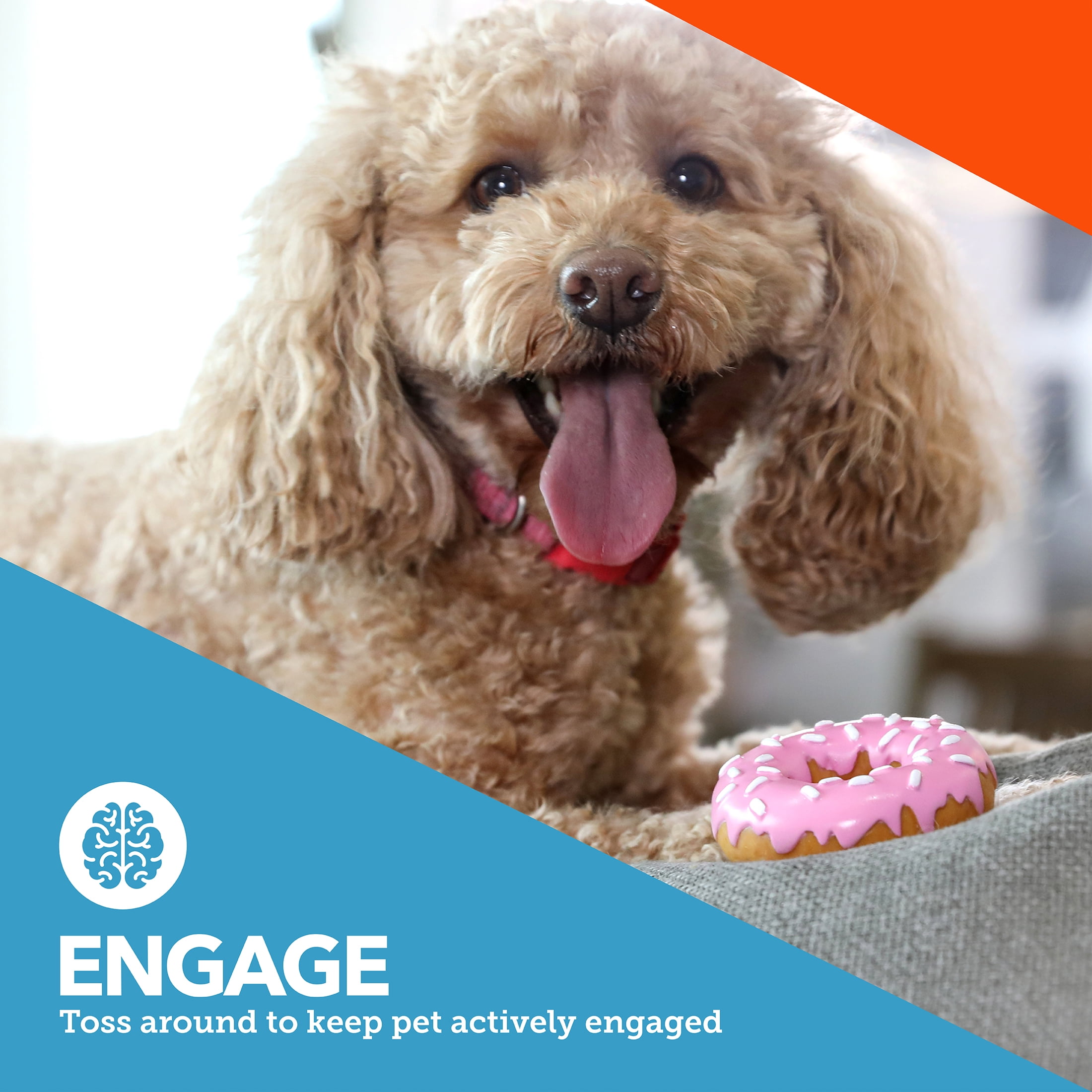 (2 pack) Vibrant Life Squeaky Pastry Rubber Chew Dog Toy, Assorted Designs