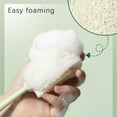 thumbnail image 5 of NSESSHome Clearance Cleaning Bottle Sponge Brush Scouring Pad Scrub Brushes for Kitchen Clean Glasses Mugs Cups, 5 of 7