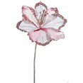 thumbnail image 1 of Tige de Fleur d'Amaryllis Rose&44; 20 & 9 Po., 1 of 1