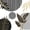 Mid Century 02, variant on Manfei Tropical Leaf Twin Bedding, Geometric Bedding Comforter Set, Black, Gold and Gray, Reversible 7pcs