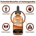 thumbnail image 3 of Ashwagandha Liquid Drops, KSM-66 Ashwagandha Root Extract (Withania Somnifera) Adaptogenic Ayurvedic, for Stress Relief, Anxiety Relief, Adrenal Support, Thyroid Support, Sleep Aid, 3 of 5