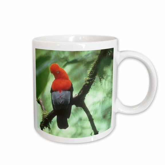 3drose, Andean Cock-of-the-rock Bird, Andes, Peru - Sa17 Ksc0057 - Kevin Schafer, 15oz Mug