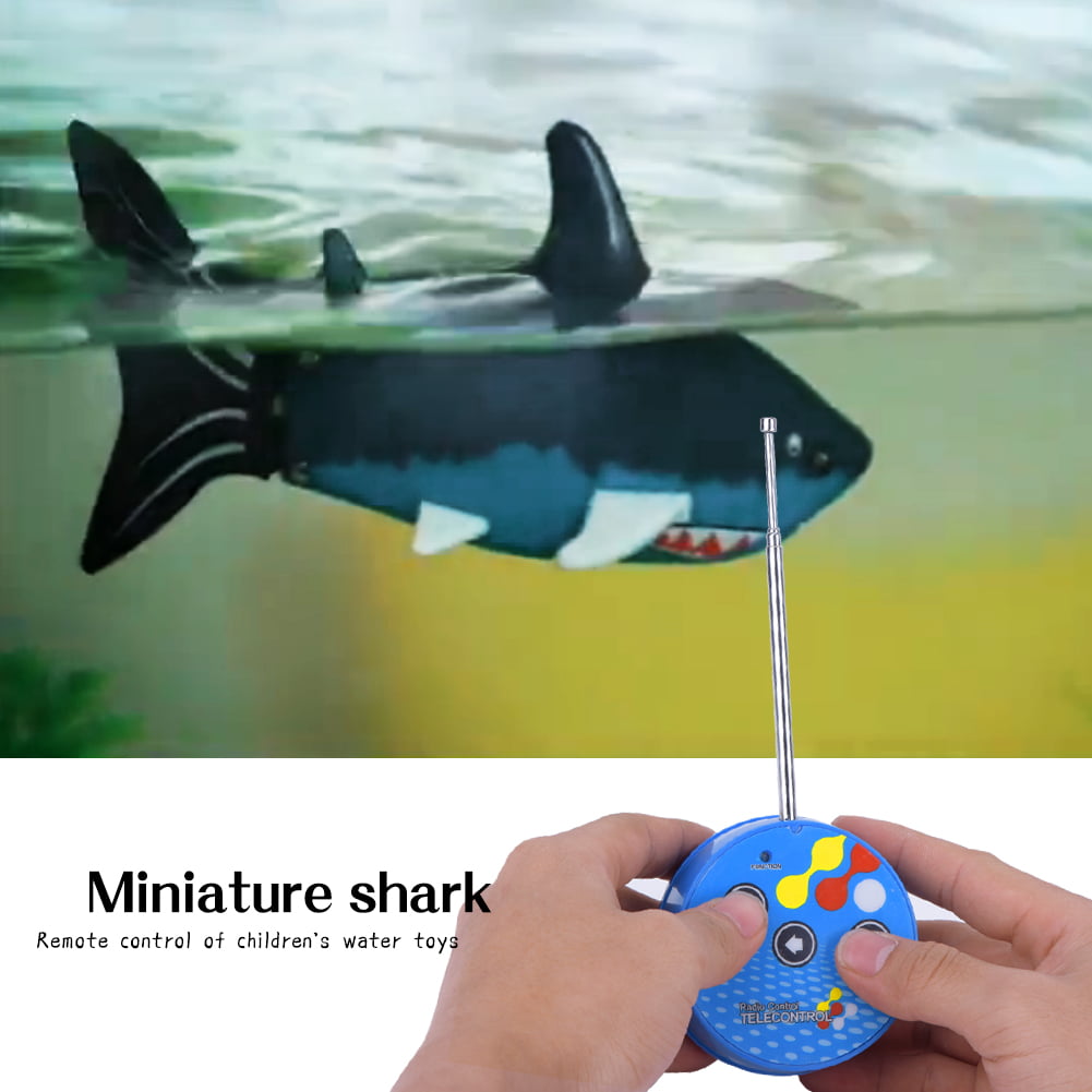 radio controlled shark