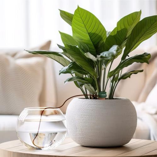 Blumat Classic Plant Watering Stakes - Self-Watering Insert for Indoor and Outdoor Plants - Automatic Slow Release Irrigation System for Potted Plants - Houseplant Care Device (5 Pack)
