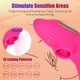 thumbnail image 2 of 1 pieza de juguetes sexuales vibradores para parejas, mujeres, estimulación del ano y la vagina, control remoto inalámbrico con patrones de vibración, recargable e impermeable, rosa ER, 2 of 5