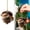 5Pcs丨C, variant on 5Pcs 2D Forest Animal Acorn Ornaments – Cozy Forest Christmas Ornaments,5pcs Acrylic Cute Forest Animal Christmas Trees Hanging Decorations,Rustic Nature-Themed Home Decor, Animal Lovers Gift