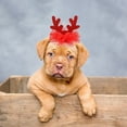 thumbnail image 5 of Festive Reindeer Star Hat Valentine Holiday Party For Cats And, 5 of 5