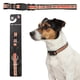 thumbnail image 1 of Collar NFL para perro raza mediana San Francisco 49s 100% oficial, 1 of 6