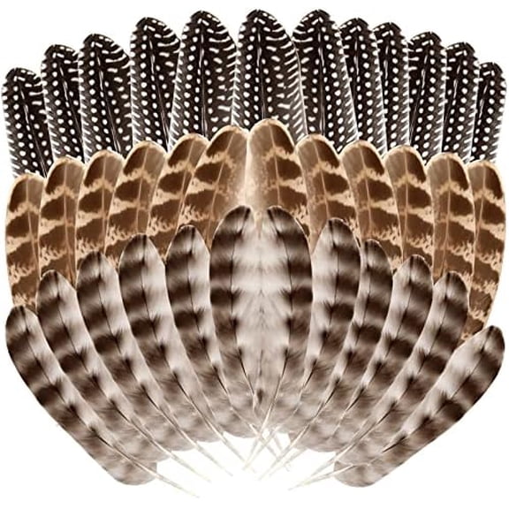 30Pcs Natural Turkey Spotted Feathers, 5-8 Inch Craft Feathers 3 Style Mixed Pheasant Feathers for Crafts DIY Hat Floral Arrangements Wing Quill Wedding Home Party Decorations