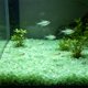 thumbnail image 1 of Guijarros luminosos para acuario que brillan en la oscuridad: piedras luminiscentes para paisajismo acuático, decoración de peceras, relleno de jarrones y jardinería. Grava luminosa de plást, 1 of 6