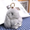 thumbnail image 2 of ER Llavero - Gris Claro Felpa Conejito De Pascua Llave Pompón De Piel Suave Lindo Muñeco De Animal Esponjoso Juguete Niña Pequeño Regalo Mujer Monedero Adorno Bolsa Encanto Colgante De Coche oso de fresa Electrónica, 2 of 5