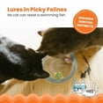 thumbnail image 4 of Catstages Meow-smerizing Bol à Poisson, Jouet pour Chat, 4 of 7