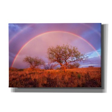 Epic Graffiti 'Arizona Rainbow' by Thomas Haney, Giclee Canvas Wall Art, 26"x18"