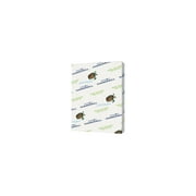 Hammermill Recycled Colored Paper, 20lb, 8-1/2 x 11, Gray, 500 Sheets/Ream