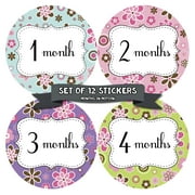 Months in Motion 210 Monthly Baby Stickers Baby Girl Months 1-12 Milestone Sticker