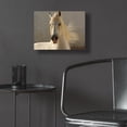 thumbnail image 5 of Epic Art ' Elegance' by Tony Stromberg, Acrylic Glass Wall Art, 16"x12", 5 of 8