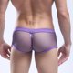 thumbnail image 4 of Calzoncillos De Malla Para Hombres Calzoncillos De Malla Para Hombres Calzoncillos Ropa Interior Pantalones Lencería METRO Soledad Ropa interior, 4 of 9