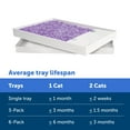 thumbnail image 6 of PetSafe ScoopFree Crystal Disposable Cat Litter Trays, Lavender, Silica Crystals, 3-Pack, Purple, 6 of 7