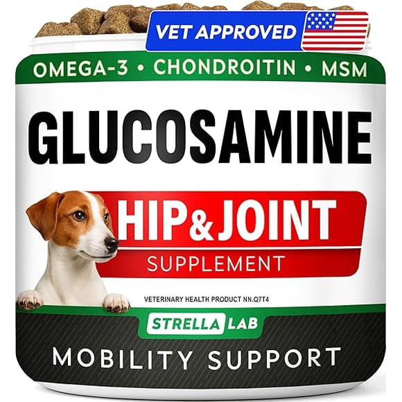 Glucosamine for Dogs w/Chondroitin - Hip & Joint Supplement for Dogs - MSM, Omega to Improve Mobility & Energy - Natural Joint Pain Relief - 120 Chews (Chicken)