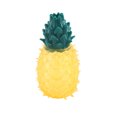 thumbnail image 1 of Mordedor Congelable Con Forma De Fruta Para Perros, Para La Dentición En Verano, Juego Interactivo, 1 of 5