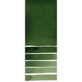thumbnail image 3 of Pintura Acuarela Daniel Smith Verde Sábila Profundo 5ml, 3 of 5