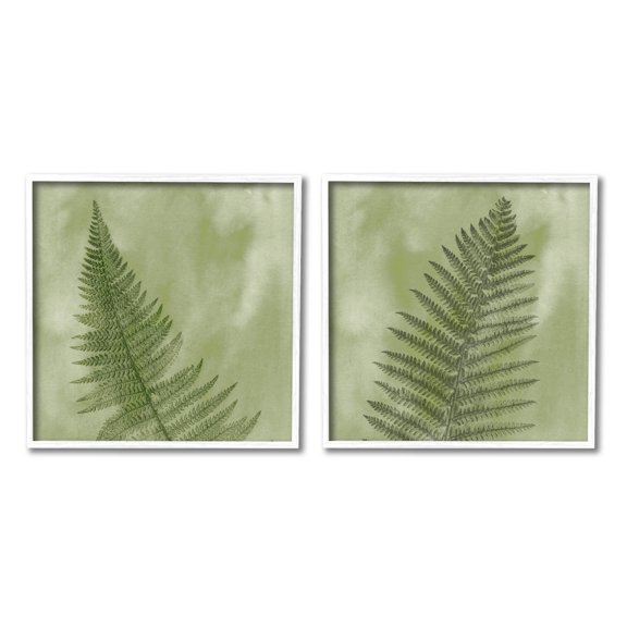 Fern Sprouts Forest Nature Leaves Botanical & Floral Graphic Art White Framed Art Print Wall Art, Set of 2