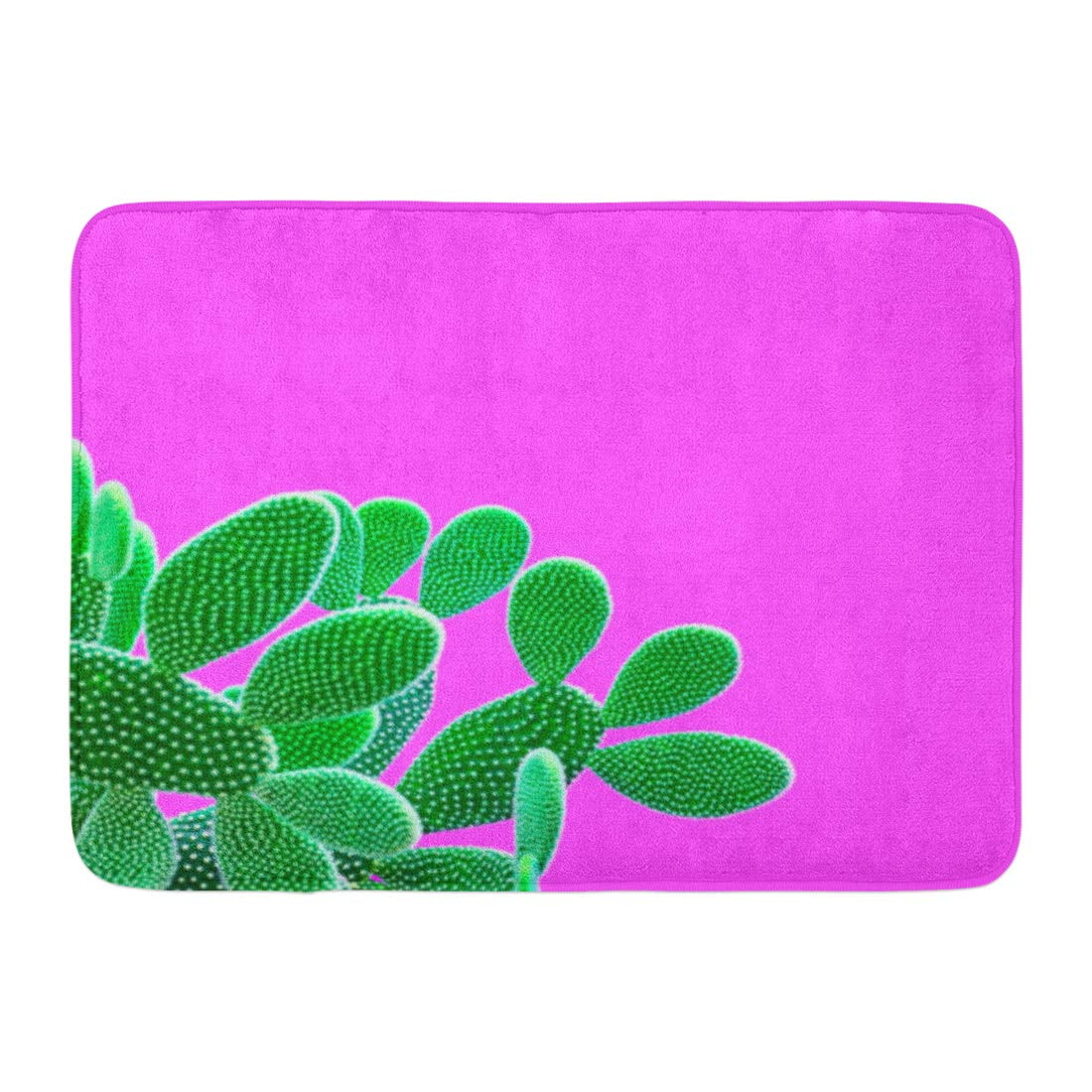 cactus music surrealism cactus music surrealism