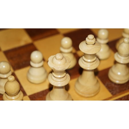 laminated poster figures chess