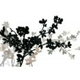 thumbnail image 3 of PI Studio 18x13 Black Modern Framed Museum Art Print Titled - Apple Bloom I, 3 of 5