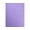 Amethyst Metallic, variant on LUXPaper 8 1/2 x 11 Cardstock, 105lb. Amethyst Purple Metallic, 1000/Pack